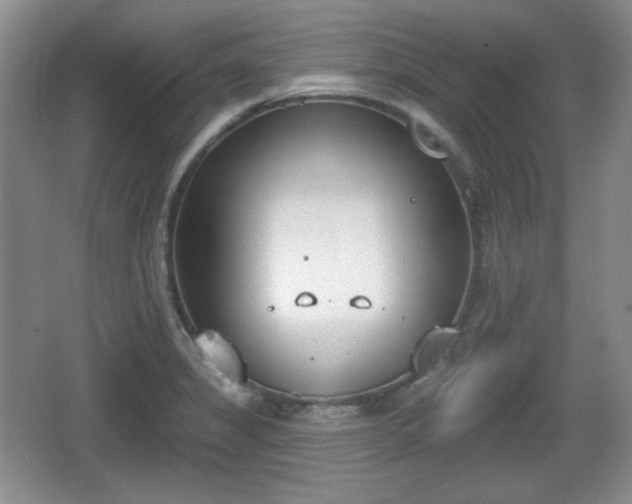 X0000067331325200604071315