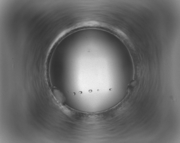 X0000067331326200604071315