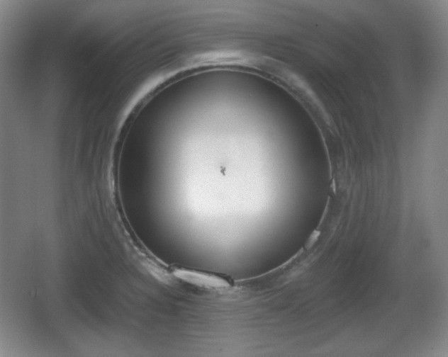 X0000067331328200604071315