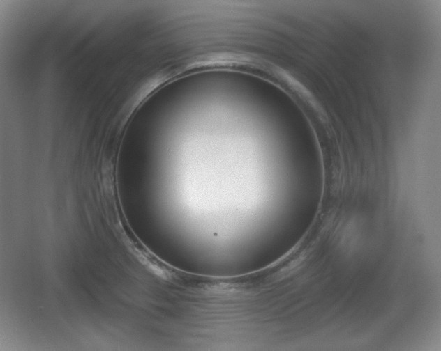 X0000067331329200604071315