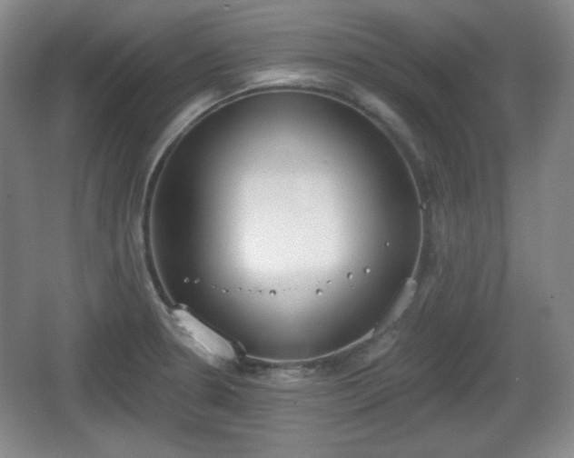 X0000067331330200604071315