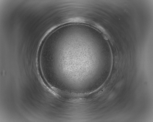 X0000067331331200604071315