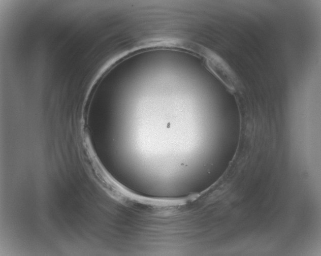 X0000067331332200604071315