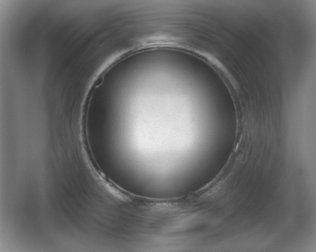 X0000067331333200604071315