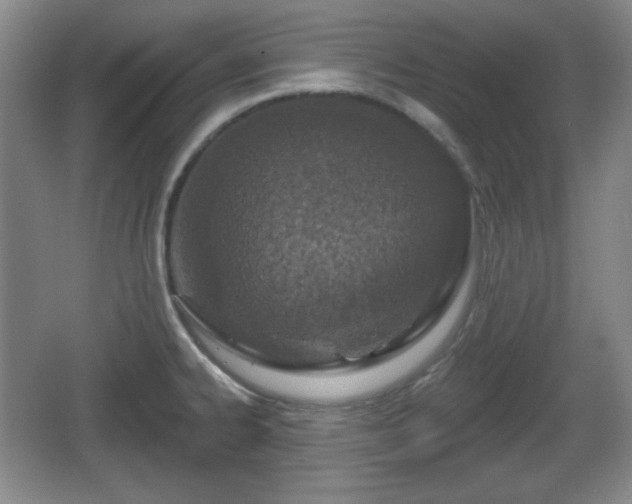 X0000067331334200604071315