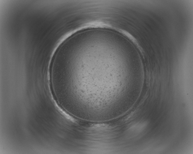 X0000067331335200604071315