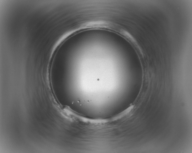 X0000067331336200604071315