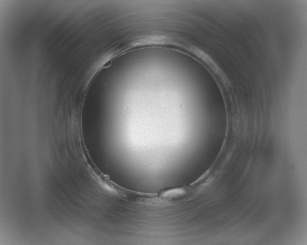 X0000067331337200604071315