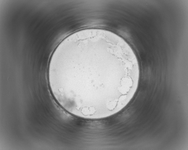 X0000067331338200604071315