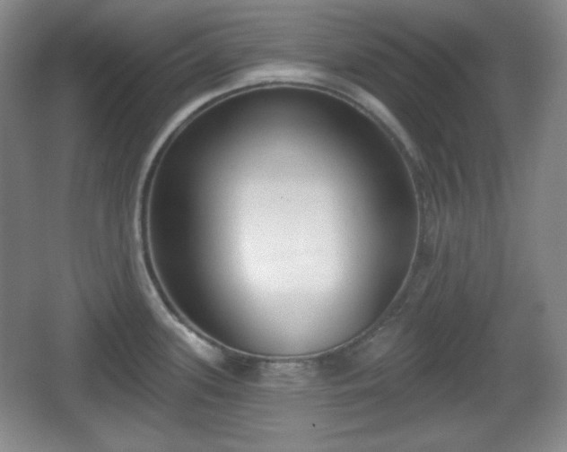 X0000067331339200604071315