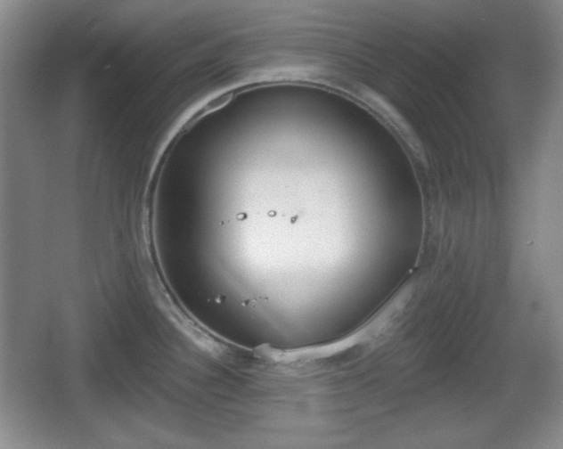 X0000067331340200604071315