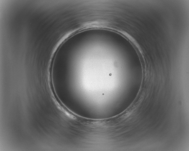 X0000067331341200604071315