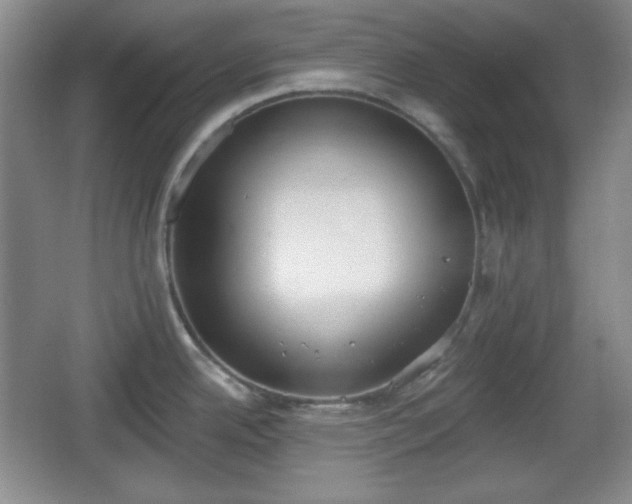 X0000067331342200604071315