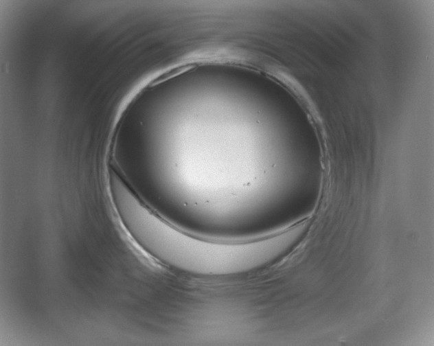 X0000067331344200604071315