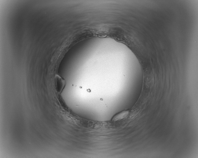 X0000067331345200604071314