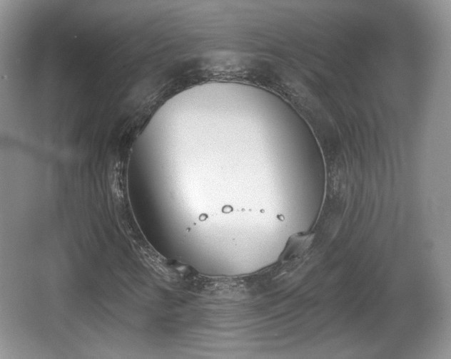 X0000067331346200604071314