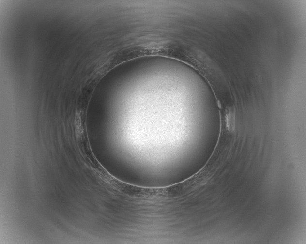 X0000067331347200604071314