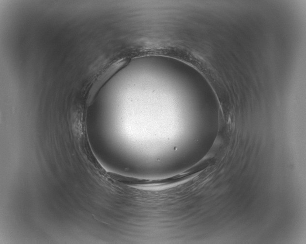 X0000067331348200604071314