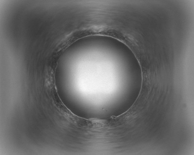 X0000067331349200604071314