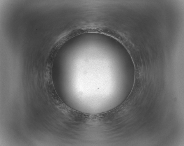 X0000067331350200604071314