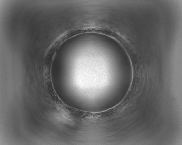 X0000067331351200604071314