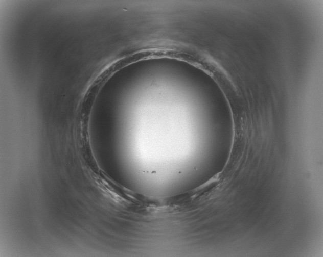 X0000067331352200604071314