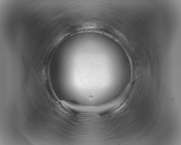 X0000067331353200604071314