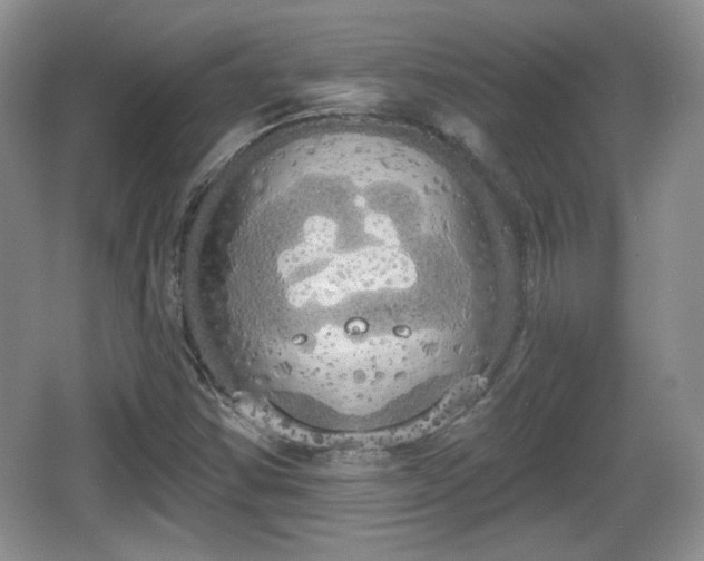 X0000067331354200604071314