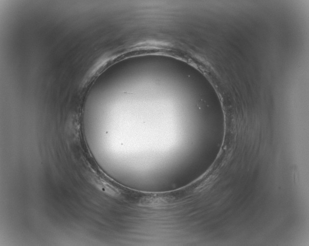 X0000067331355200604071314