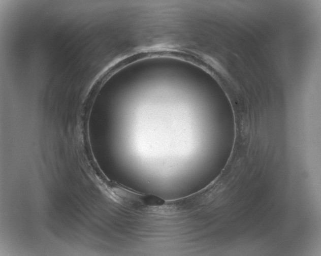 X0000067331356200604071314