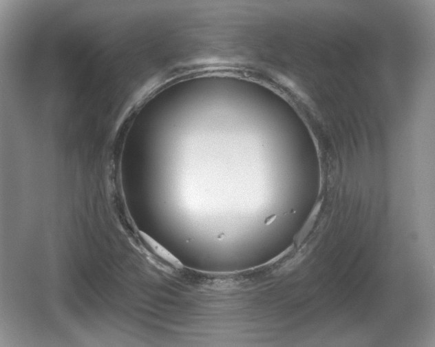 X0000067331357200604071314