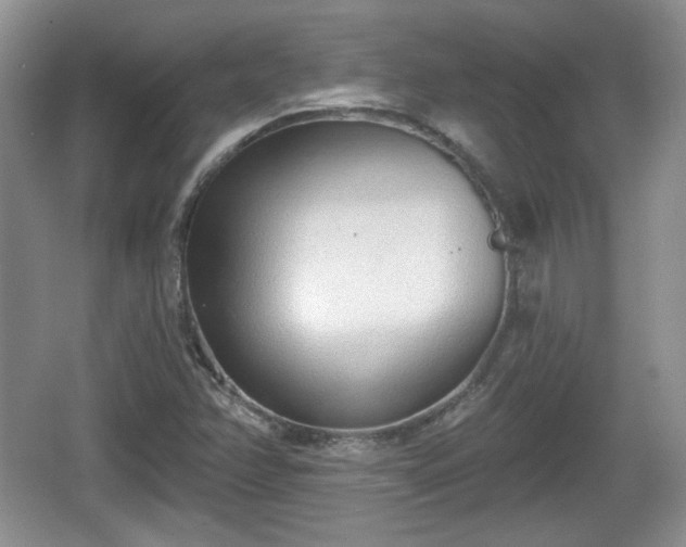 X0000067331358200604071314