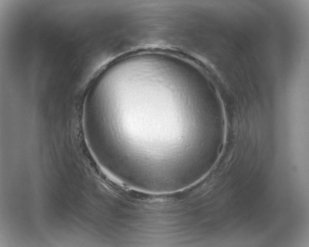 X0000067331359200604071314