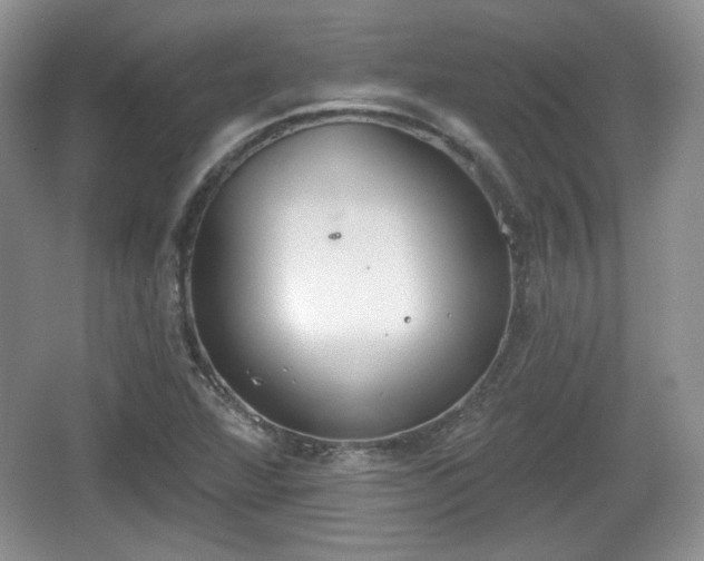 X0000067331360200604071314