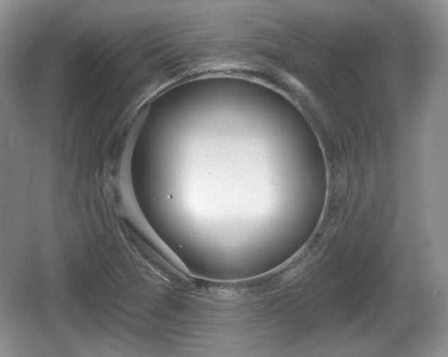 X0000067331361200604071314