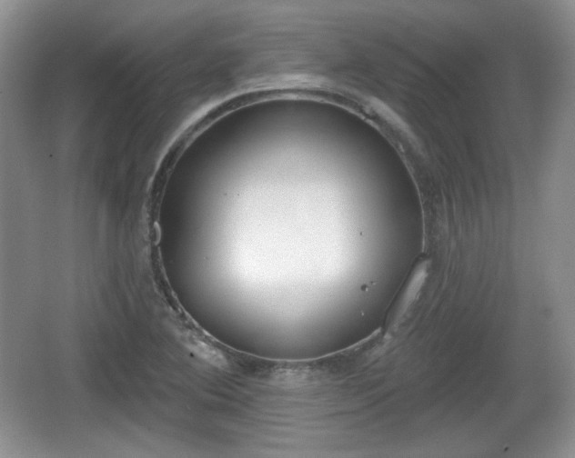 X0000067331364200604071314