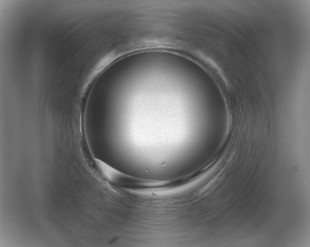 X0000067331365200604071314