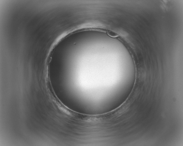 X0000067331366200604071314