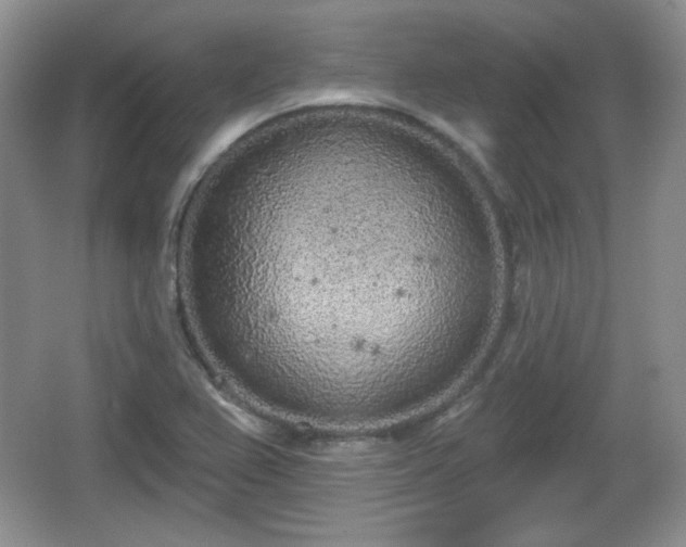 X0000067331367200604071314