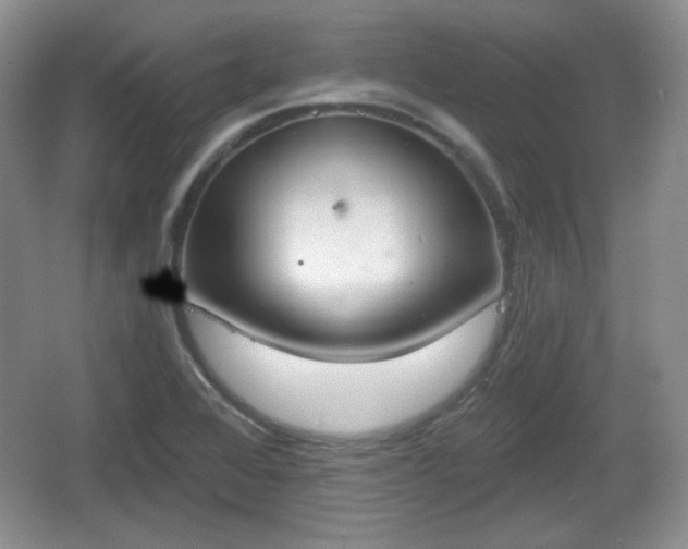 X0000067331368200604071314