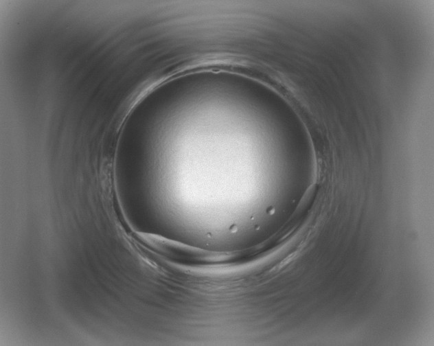 X0000067331369200604071314