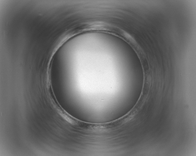 X0000067331370200604071314