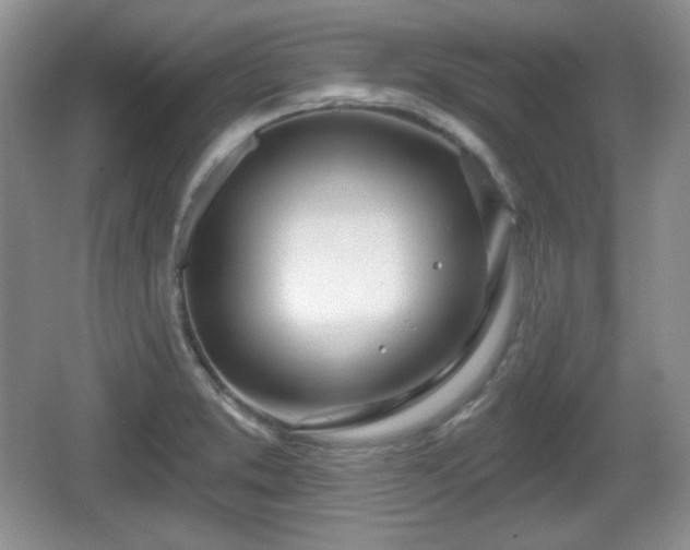 X0000067331373200604071314