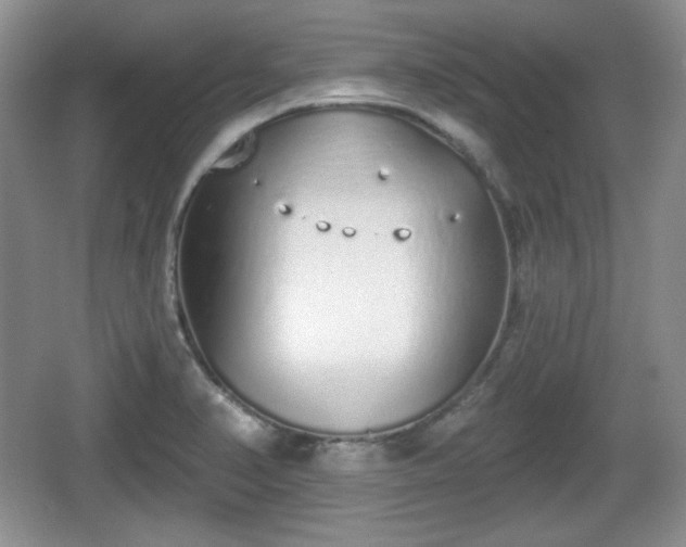 X0000067331374200604071314