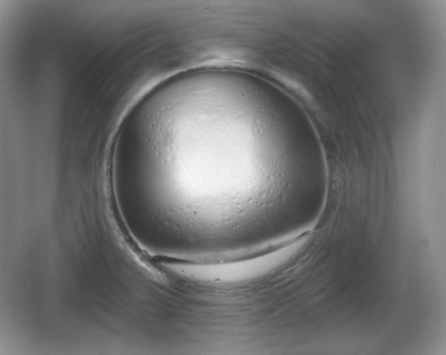 X0000067331375200604071314