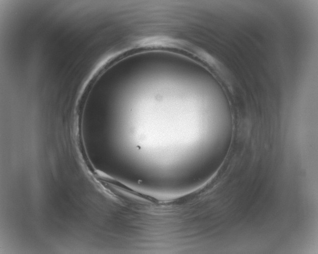 X0000067331376200604071314