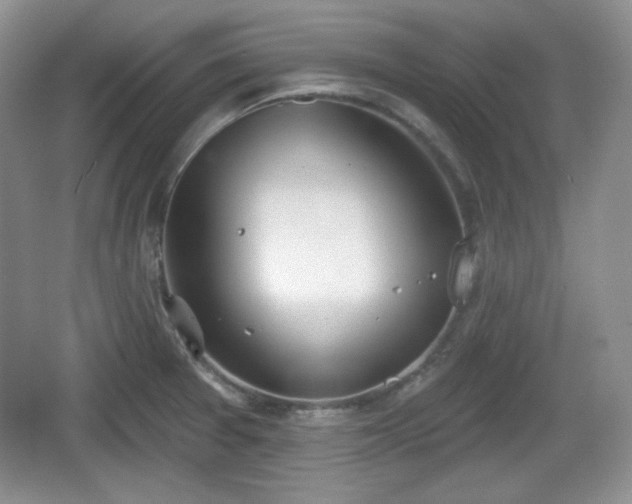 X0000067331377200604071314