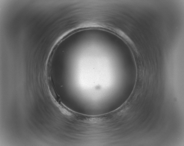 X0000067331380200604071314