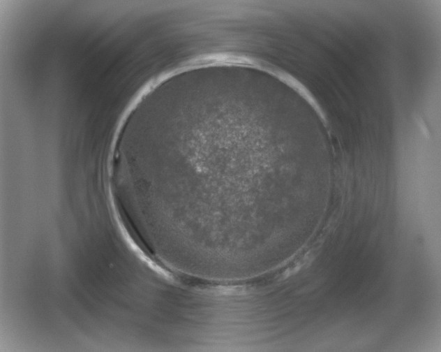 X0000067331381200604071314