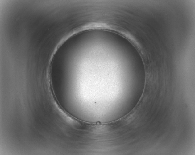 X0000067331382200604071314